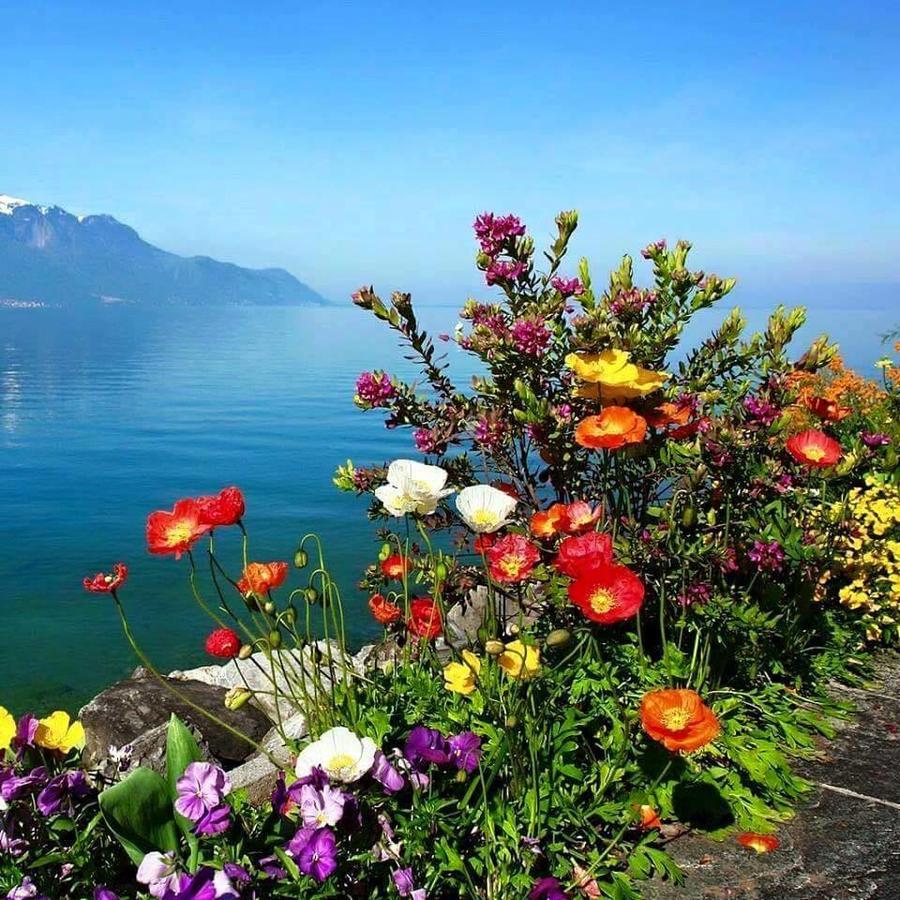 Gozde Deniz Boutique Hotel 博德鲁姆 外观 照片